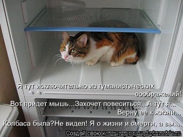Мысли вслух :)