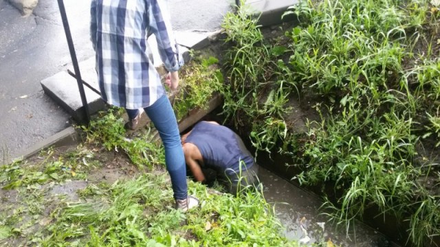 Мама-собака позвала прохожих на помощь, когда ее щенков затопило водой