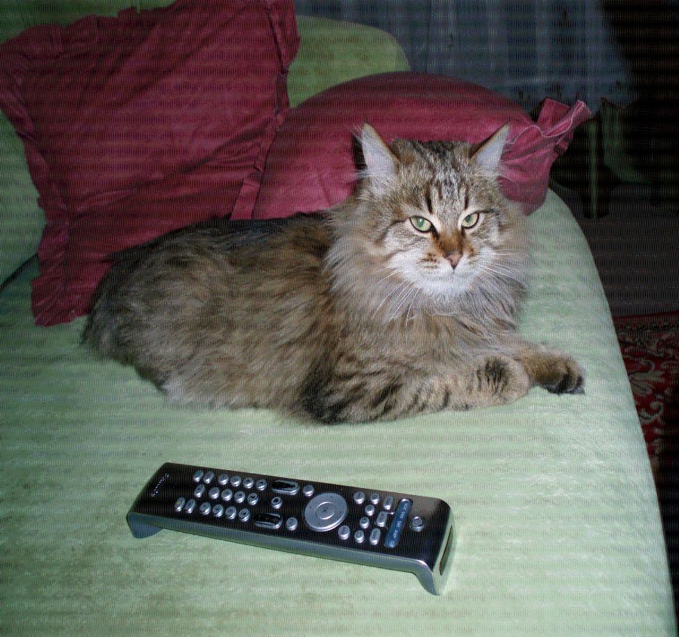 http://vsookoshkax.ru/istorii/larson.jpg