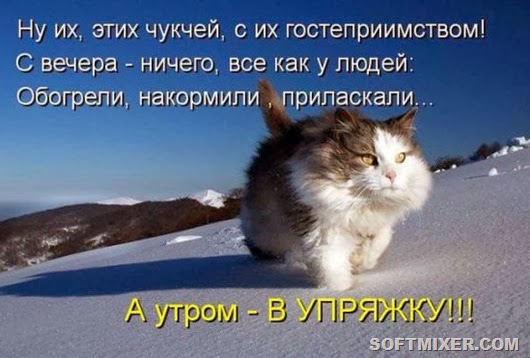 703bd7621b4d81545afb827c101_prev 703bd7621b4d81545afb827c101_prev