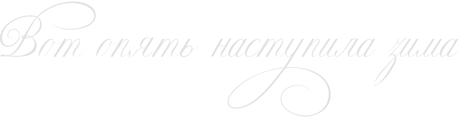 ОПЯТЬ НАСТУПИЛА ЗИМА