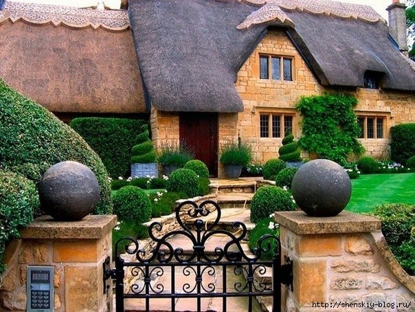 XNgbRCoYCvM (604x454, 256Kb)