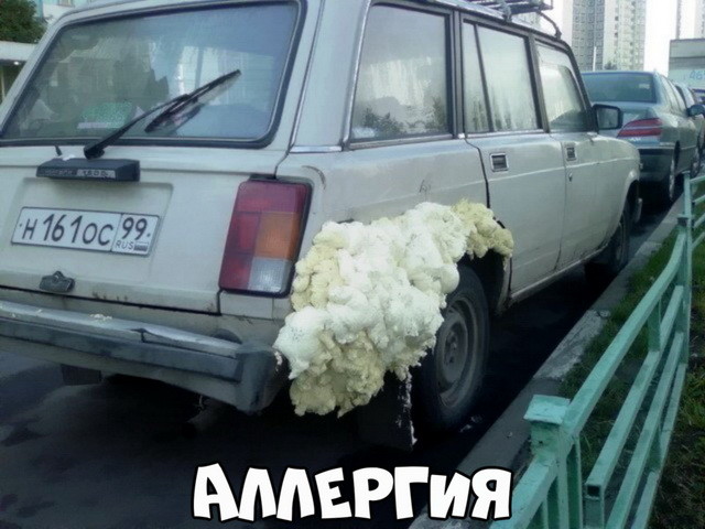 Автовсячина Автовсячина Автовсячина, авто, автомобиль, машина, прикол