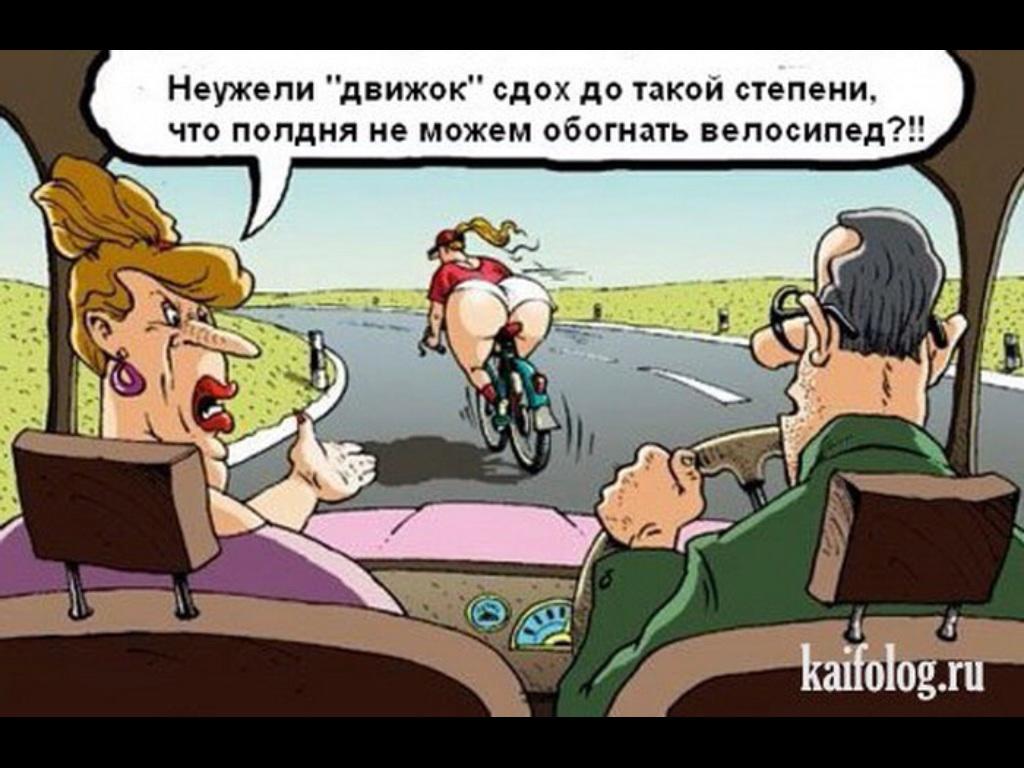 Анекдот про соколова Анекдот про соколова