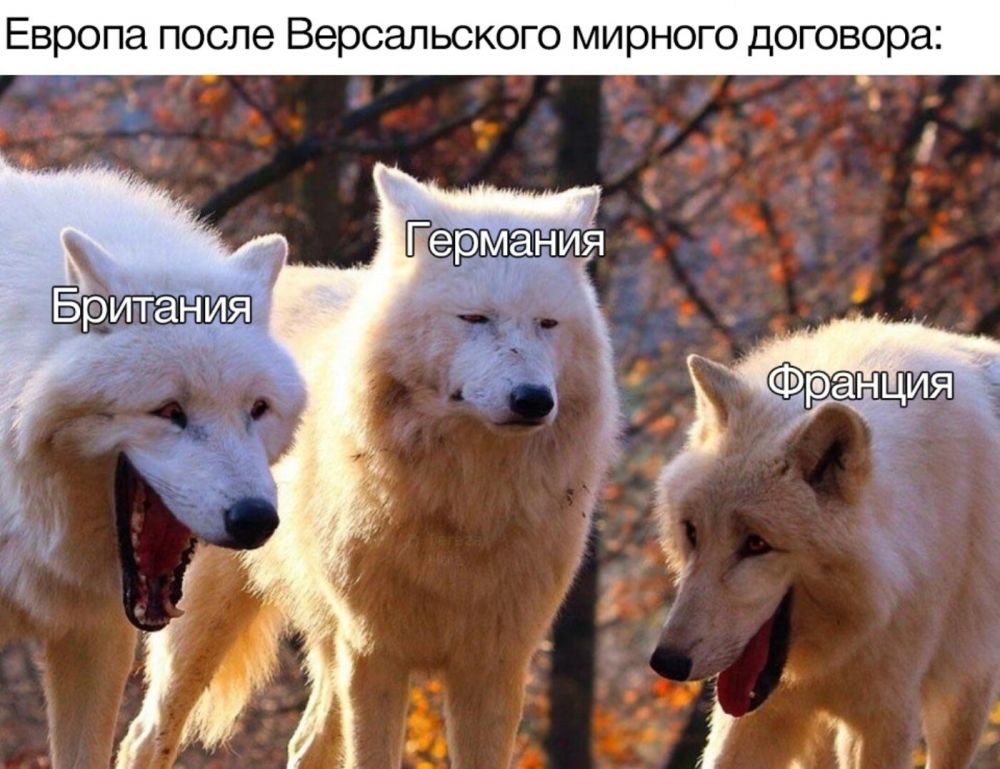 10 мемов про двух волков, которые смеются над третьим