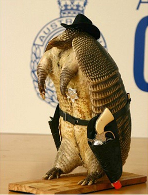 конфискация, животные, багаж, таможня