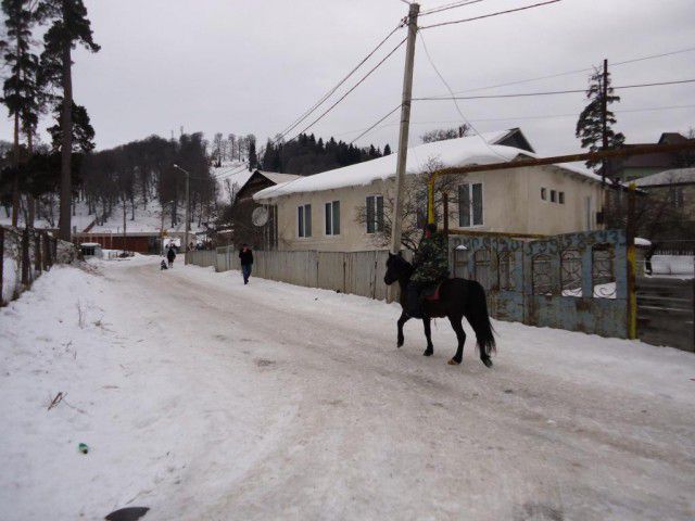 грузия, люди, интересное