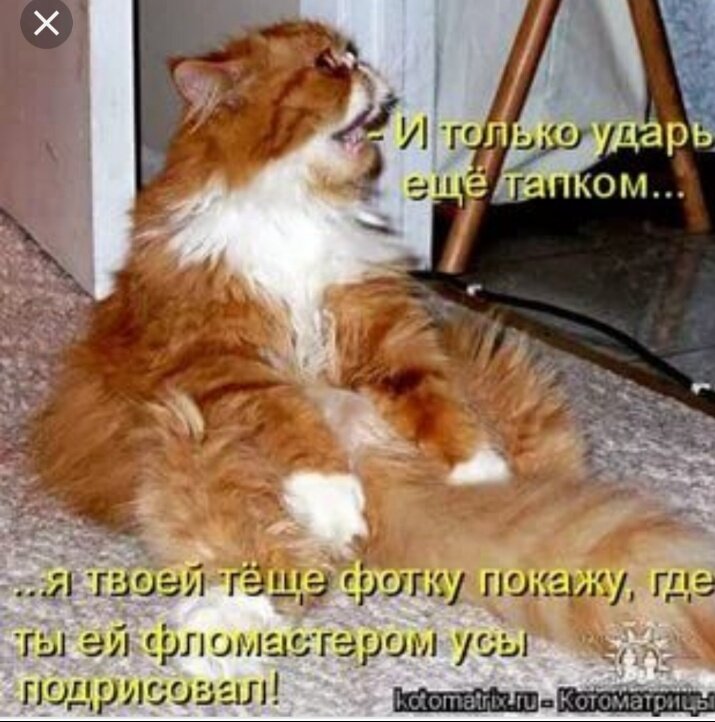 Фото взято из открытого источника Яндекс.Картинки