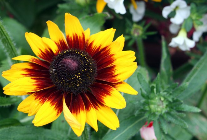 ���������