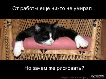 ��������� ����������� ������������..