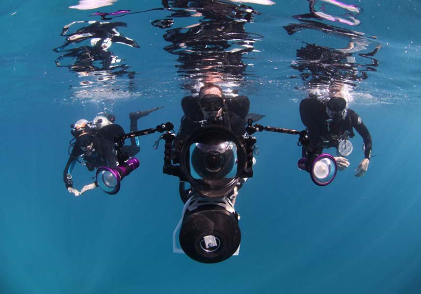 Explore coral reefs 17 Коралловые рифы в фотографиях
