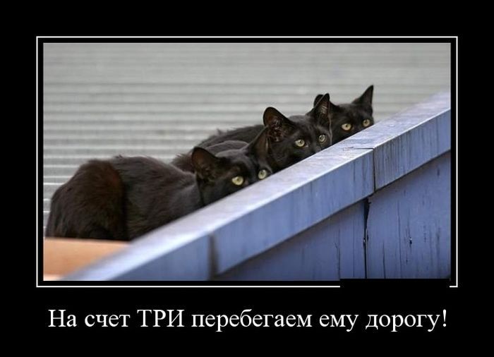 Демотиваторы юмор, демотиваторы