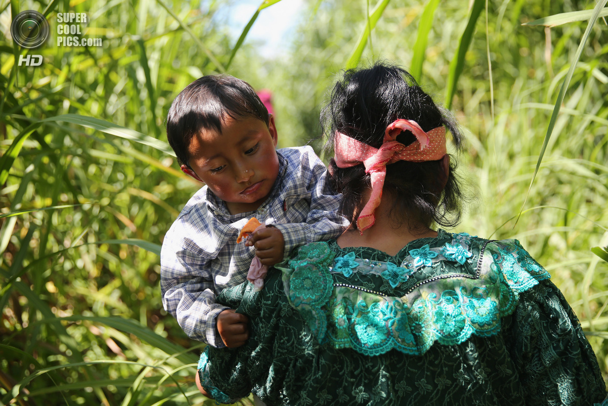 Мексика. Талисман, Чьяпас. 1 августа. Гватемальская семья после нелегального пересечения границы на реке Сучьяте. (John Moore/Getty Images)