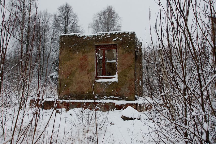 факты, фото, интересное