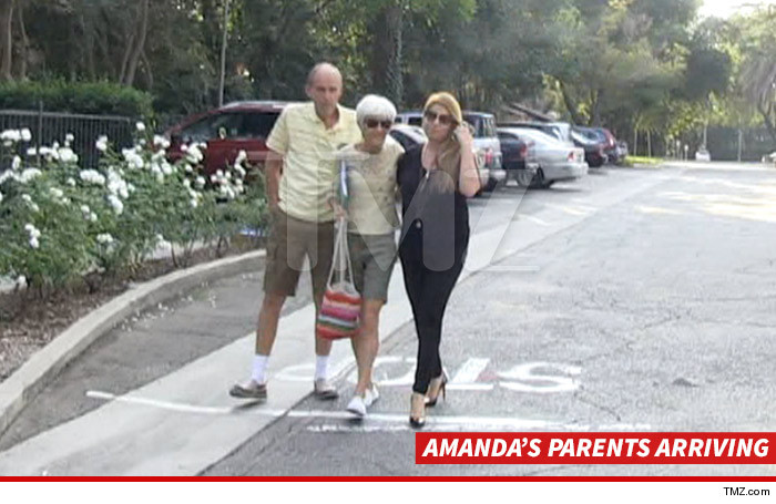 Amanda Bynes -- Hospitalized on Psychiatric Hold Amanda Bynes -- Hospitalized on Psychiatric Hold