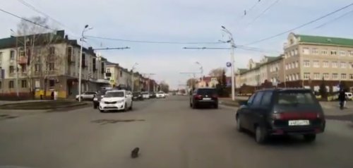 Чтобы спасти чью-то жизнь, не обязательно быть супергероем Чтобы спасти чью-то жизнь, не обязательно быть супергероем