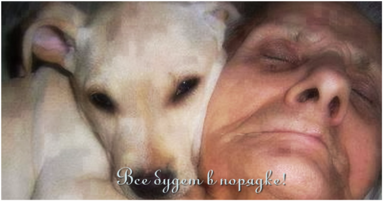 Собака не отходила от нее ни на минуту