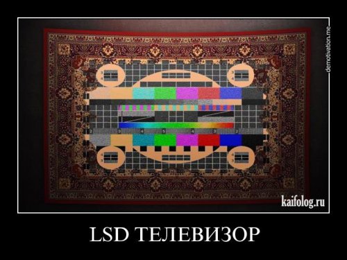 Демотиваторы - 110 (50 фото)