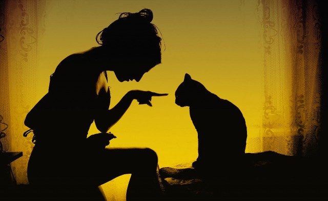 ЧТЕНИЕ ДЛЯ БЕЗЗАВЕТНЫХ КОШКОЛЮБОВ. Признаки кошачьей любви. ЧТЕНИЕ ДЛЯ БЕЗЗАВЕТНЫХ КОШКОЛЮБОВ. Признаки кошачьей любви.