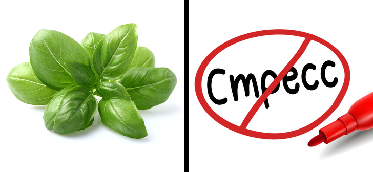 10 щелочных продуктов, которые избавят от проблем с ожирением