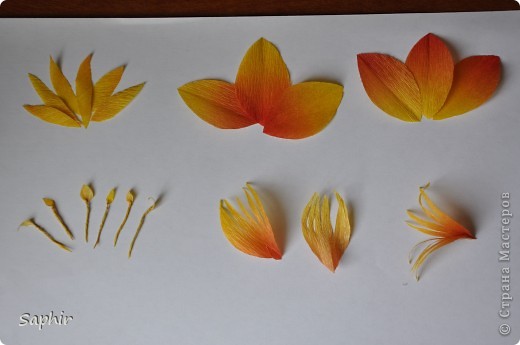 Поделка изделие Бумагопластика цветы из гофробумаги  мастер-класс Бумага гофрированная фото 5