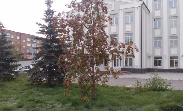 Осень в Красноярске Осень в Красноярске