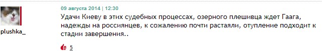 Кто пишет все эти комментарии?