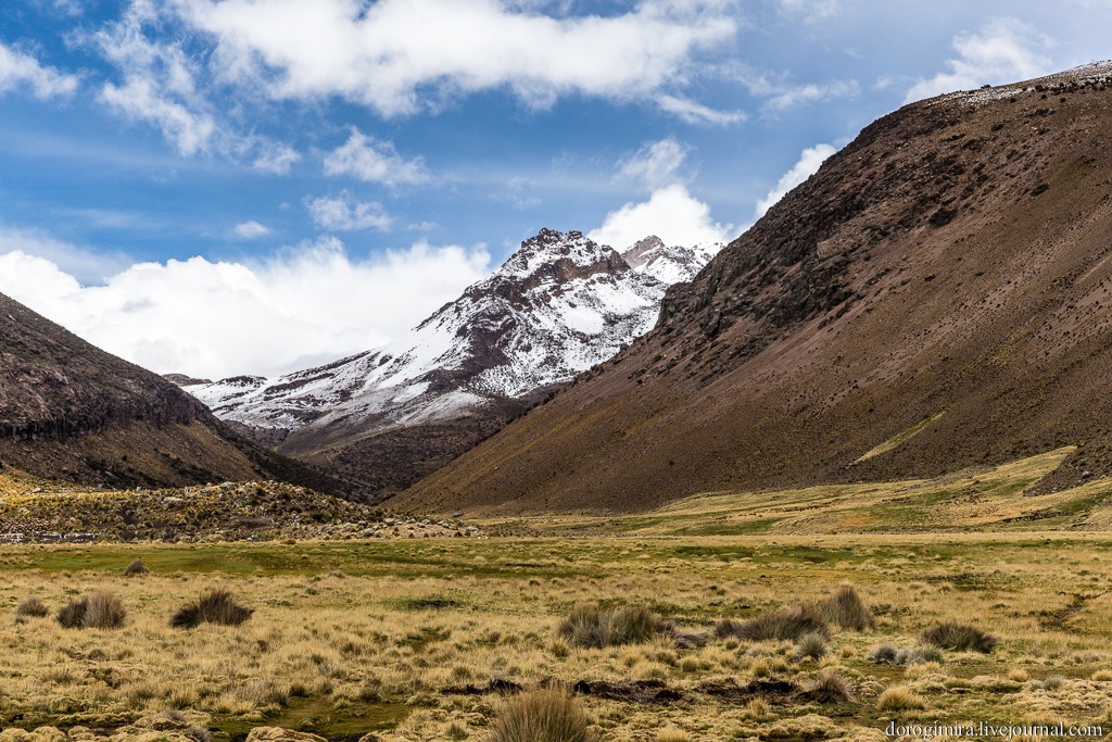 Sajama21 Национальный парк Сахама