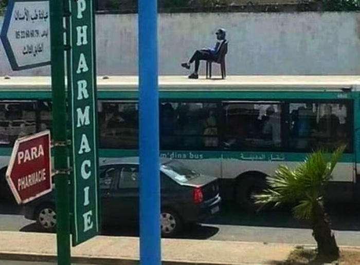 Незаурядный пассажир на крыше. Незаурядный пассажир на крыше.
