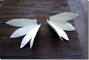tutorial gallo Cristallo-3