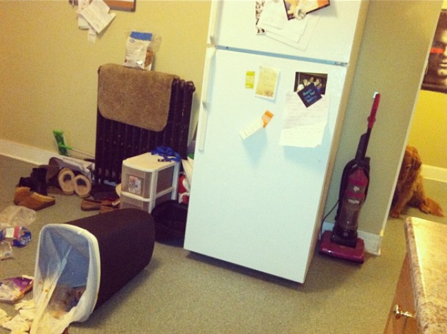 Милота года......Самые добрые и теплые события года, которые умиляют до глубины души.