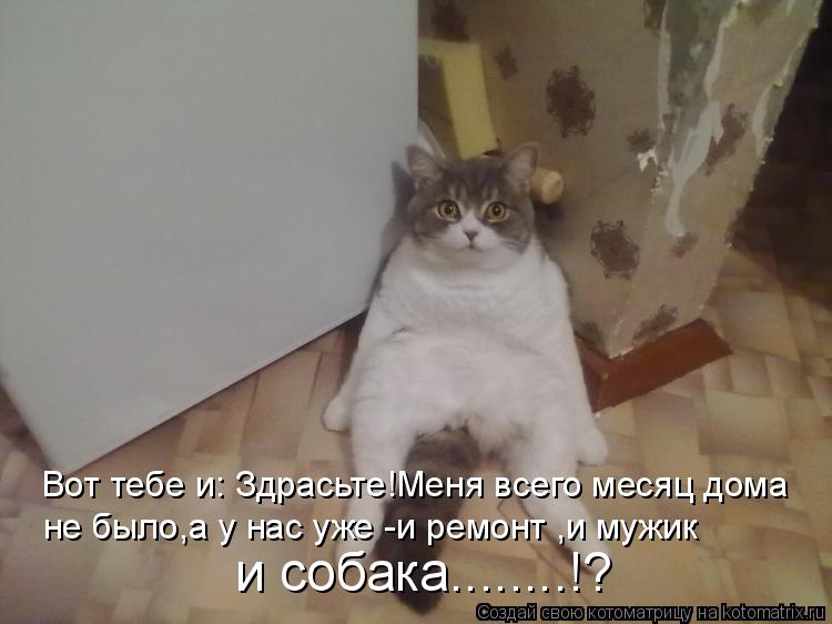  -   : !      ,    - 