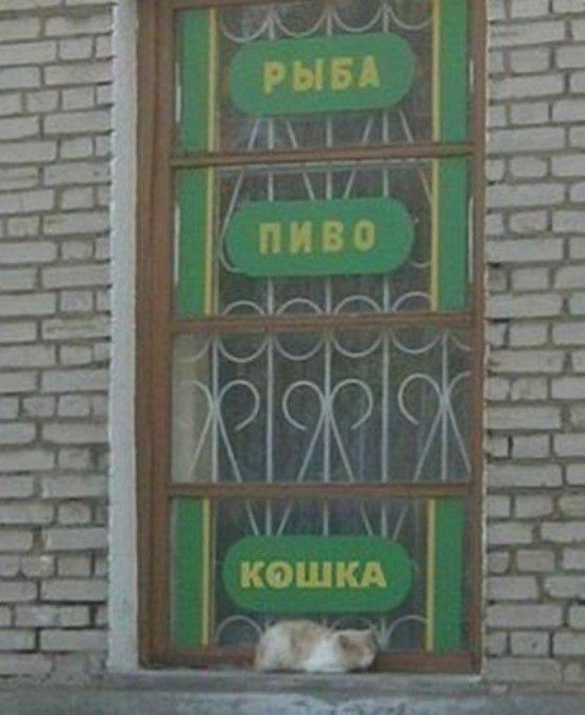 Загадочные животные, которых вы никогда не поймете) Загадочные животные, которых вы никогда не поймете)