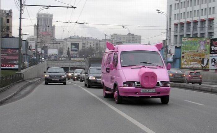 Когда настолько влюблен в животное... С кем поведешься, от того и захрюкаешь
(12 фото)