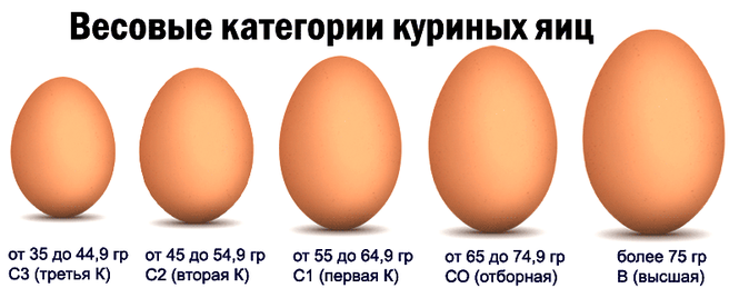 Какого сорта яйца лучше?