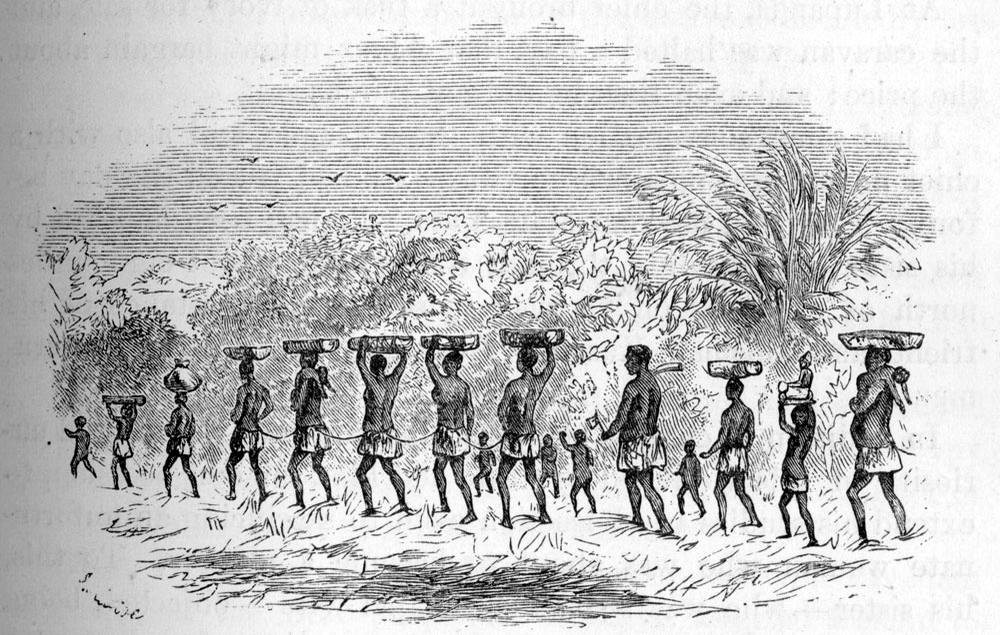 Группа связанных рабов (Центральная Африка, 1875 год)