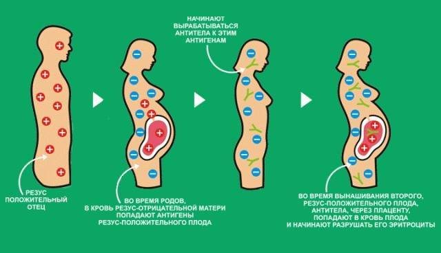 Эти факты о своей группе крови должен знать каждый Эти факты о своей группе крови должен знать каждый