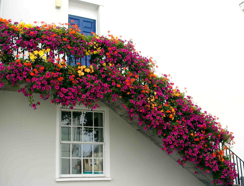 ���������� � ������ ����� � ���: ����� � �����