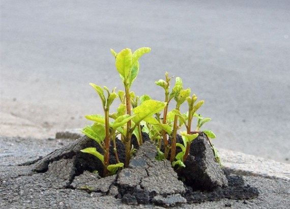 СУДЬБА УПРАВЛЯЕМА СУДЬБА УПРАВЛЯЕМА