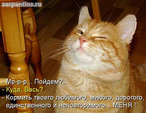 кормить любимого меня