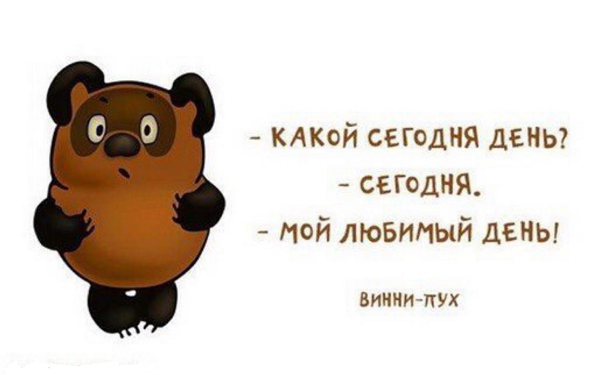 Жизненные цитаты из любимых мультфильмов Жизненные цитаты из любимых мультфильмов