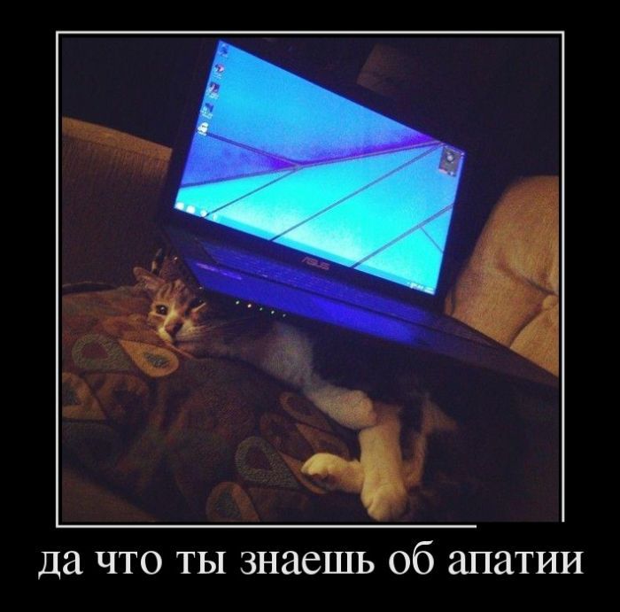 Демотиваторы