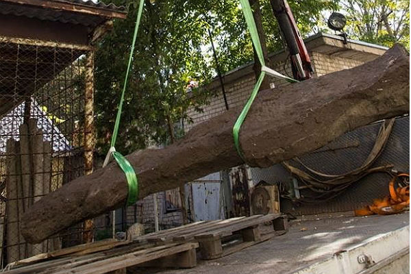 На Украине нашли огромный крест, высеченный из статуи воина-половца
