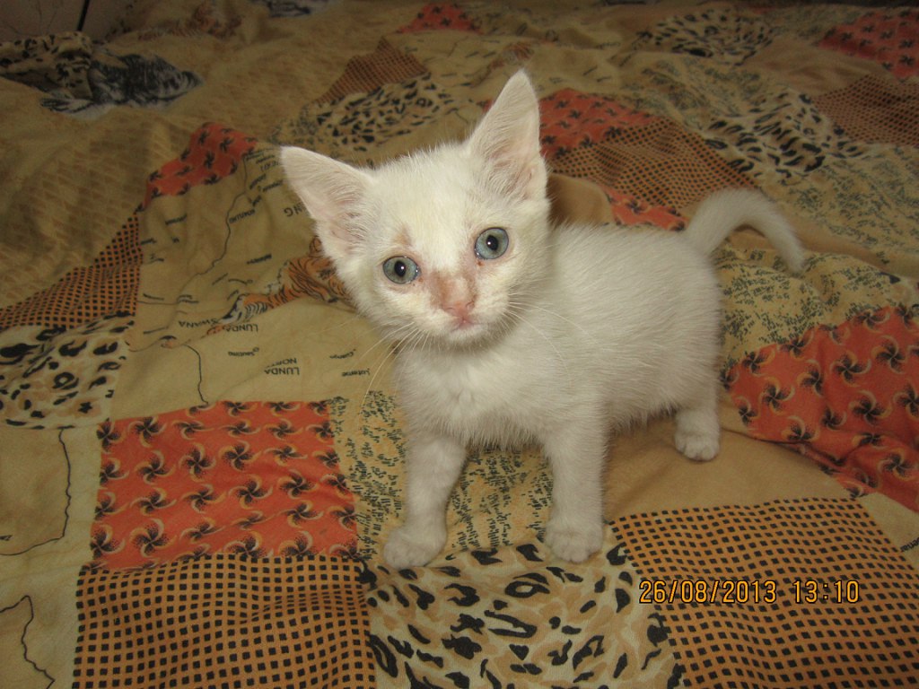 Не смогла расстаться с ней! Не смогла расстаться с ней!
