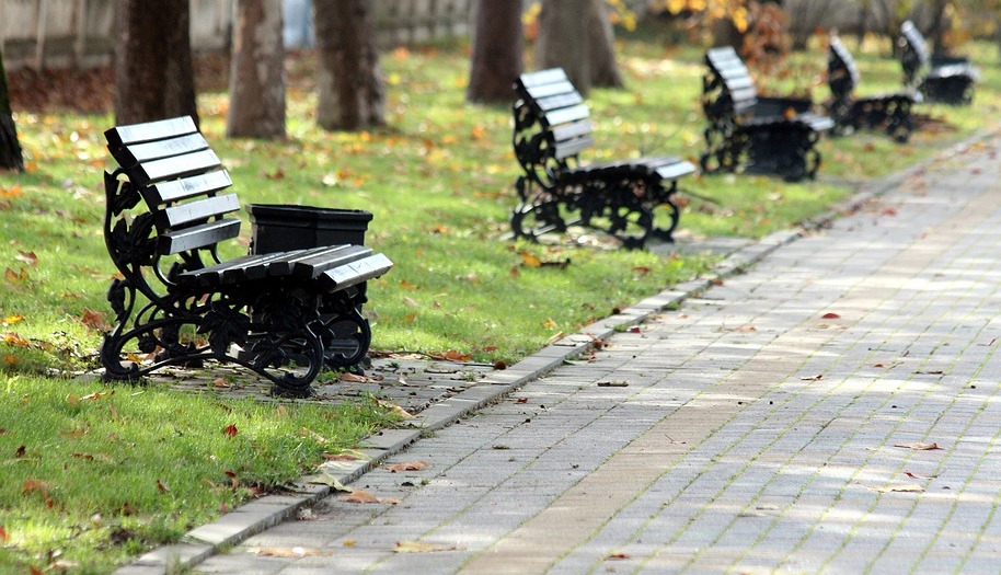 В парке за Культурным центром «Северный» построят сцену с амфитеатром