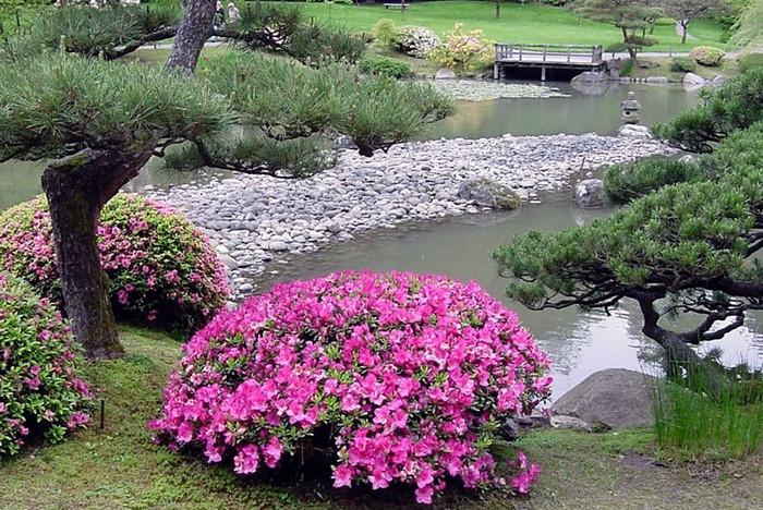 Японский сад (160) (700x468, 348Kb)