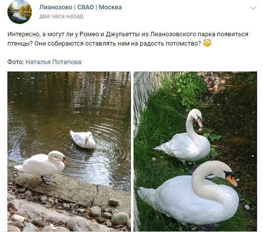 Ромео и Джульетта из Лианозова попали под прицел папарацци