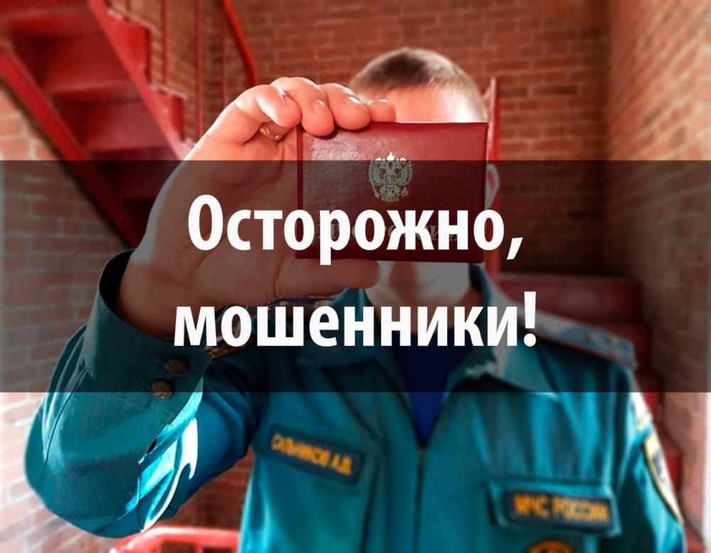 В период пандемии преступлений в сфере мошенничества стало больше