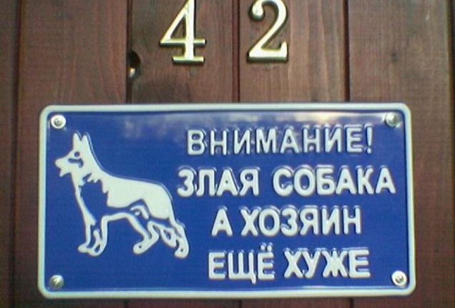 Анекдот про собаку