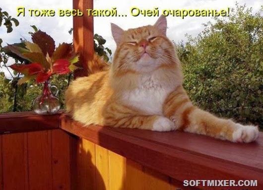 061c73ded5e291e145efe9826ed_prev 061c73ded5e291e145efe9826ed_prev